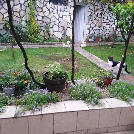 Διαμέρισμα Janina Hisa *